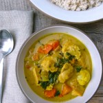 chicken and vegetable curry | pamela salzman