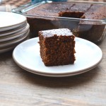 vegan gingerbread recipe | pamela salzman