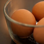 egg