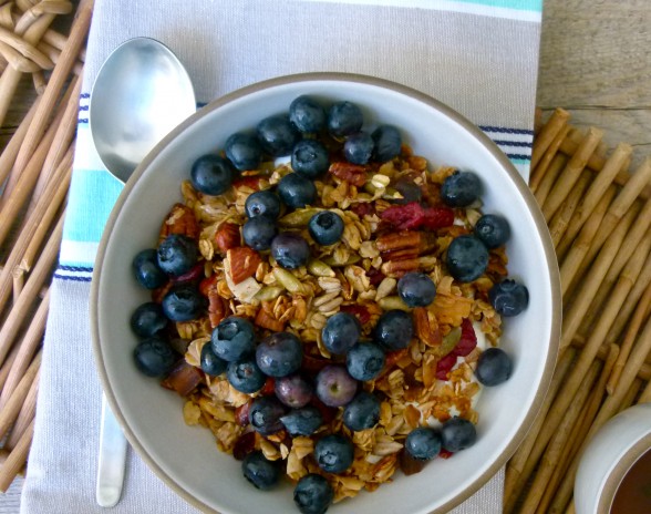 homemade granola with yogurt and blueberries