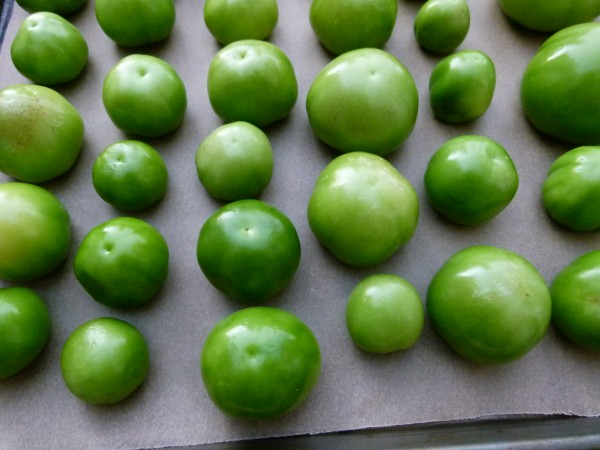 Tomatillos Ready to be Broiled