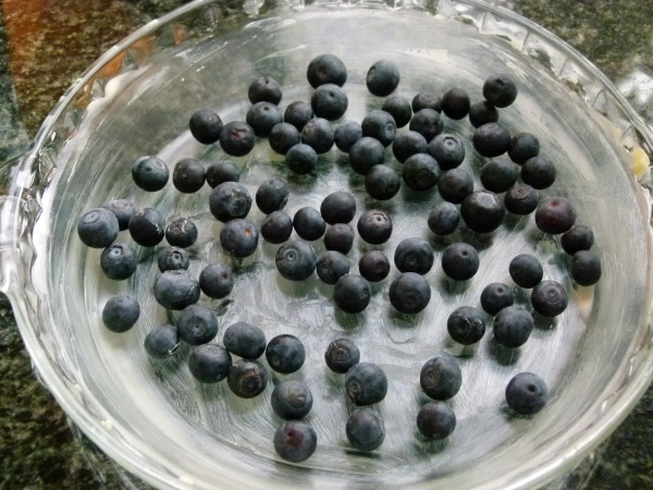 grease your pan and scatter the blueberries on the bottom