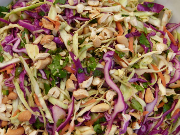 asian slaw | pamela salzman