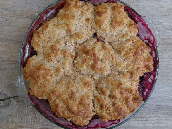 Mixed Berry Cobbler | Pamela Salzman