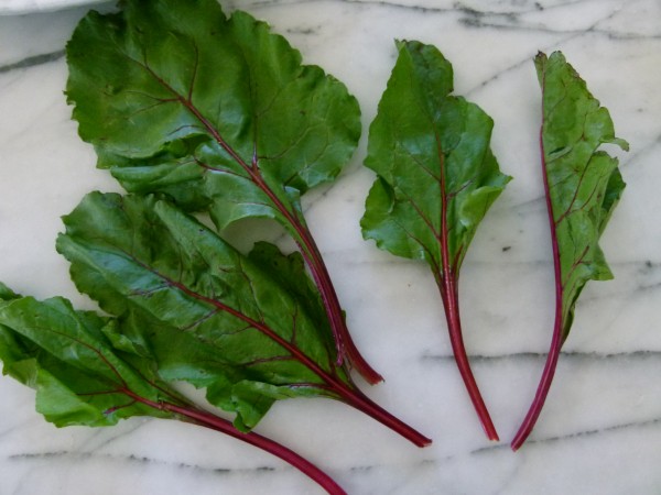 fresh beet greens