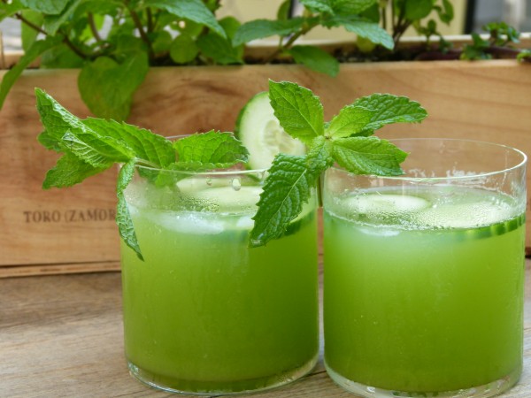 mint, cucumber, and vodka cocktail | pamela salzman