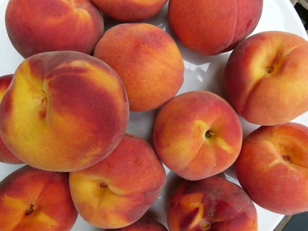peaches!
