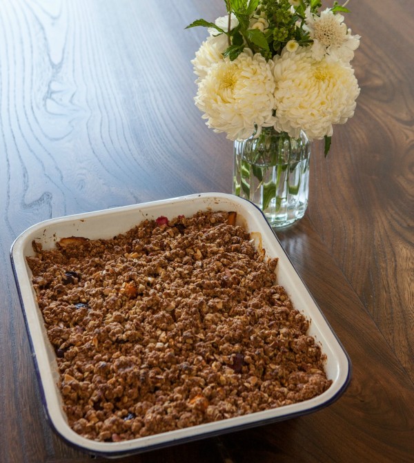 https://pamelasalzman.com/wp-content/uploads//2013/07/apricot-cherry-crisp1-e1441752433535.jpg