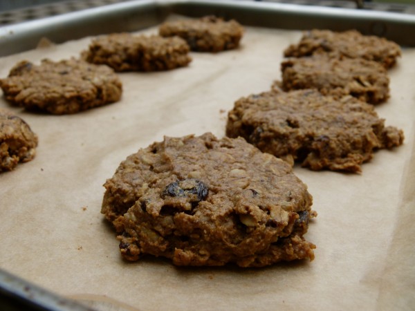 pumpkin oatmeal spice cookies | pamela salzman