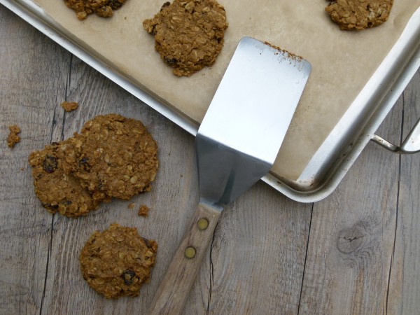 vegan pumpkin oatmeal spice cookies | pamela salzman