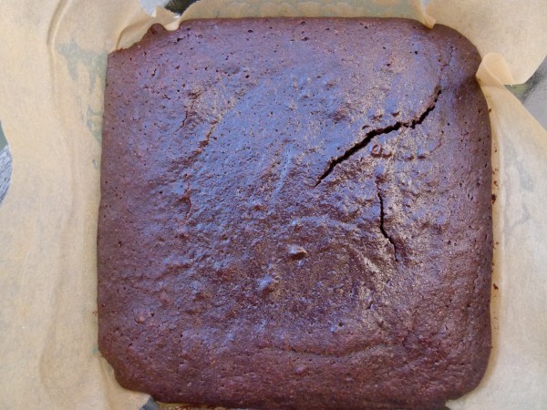 gluten-free fudgy brownies