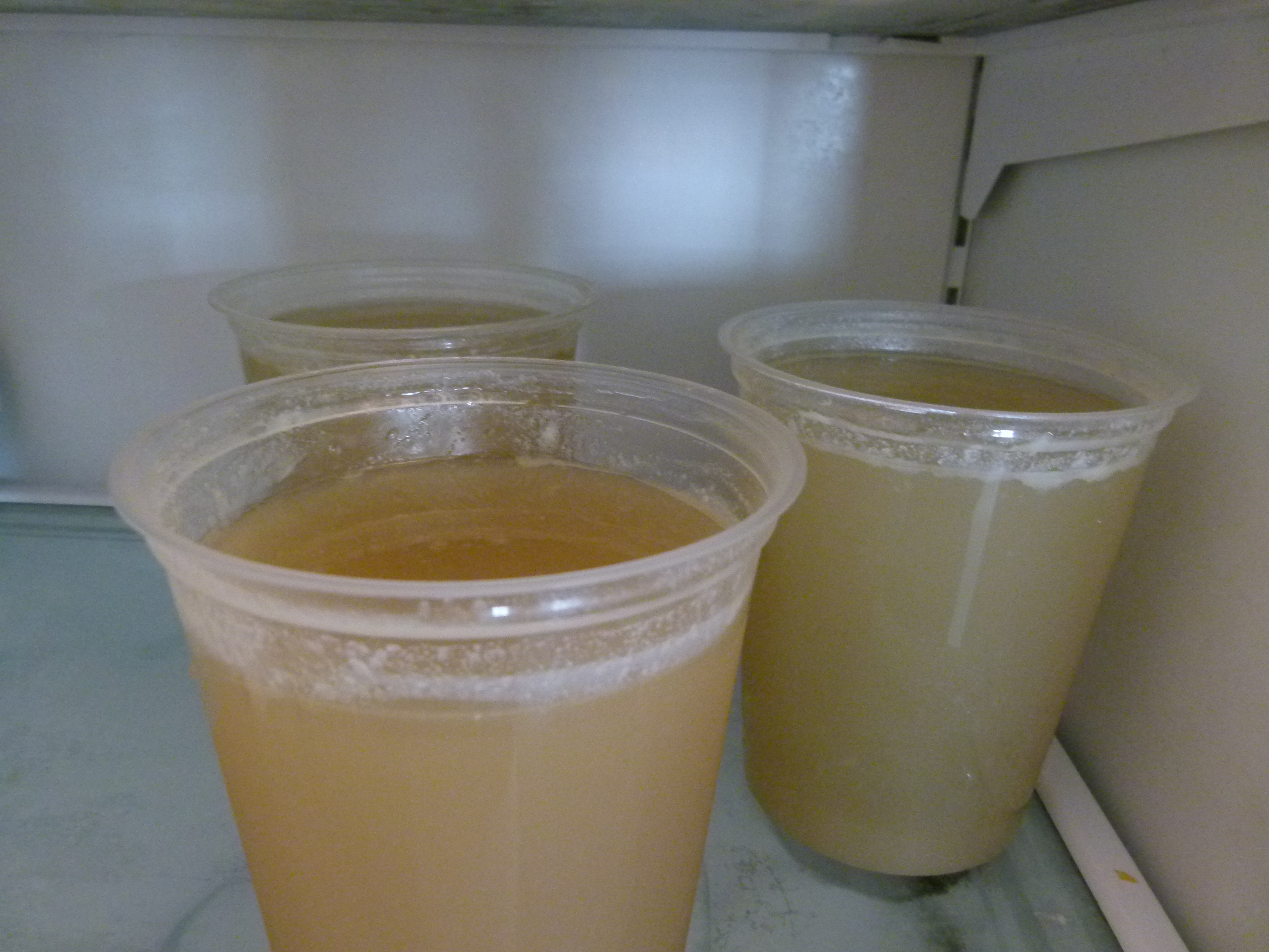 Freezing Chicken Broth - Can You Freeze Chicken Broth?