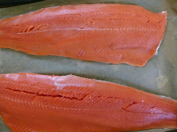 wild sockeye salmon