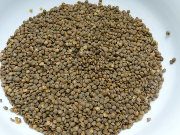 cooked lentils