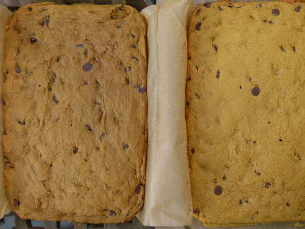 coconut sugar on the left and white sugar on the right