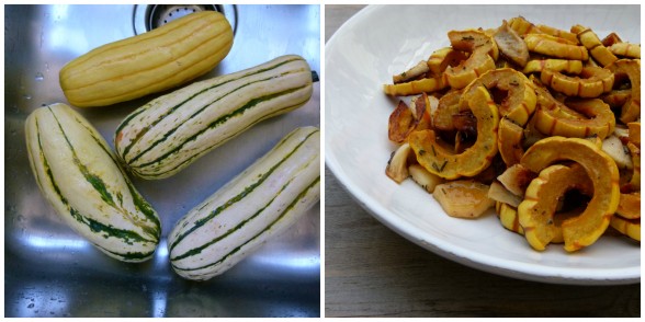 delicata squash