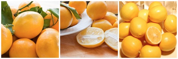 Meyer lemons