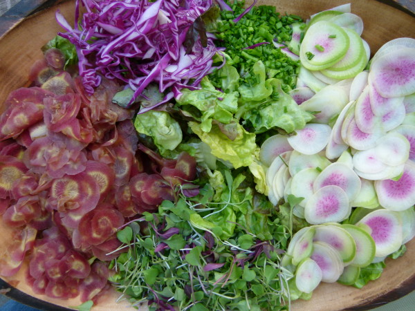 the perfect spring salad | pamela salzman