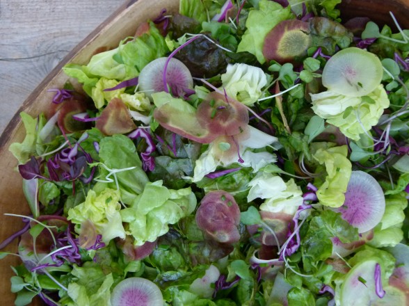 the perfect spring salad | pamela salzman