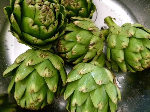 artichokes