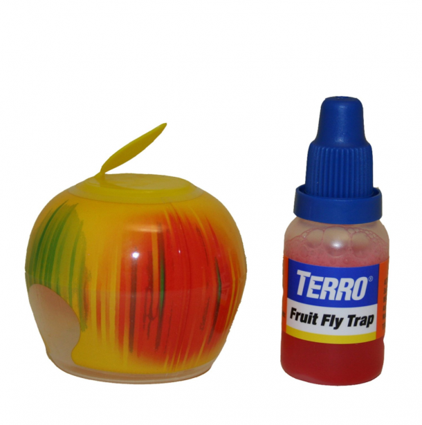 Fruit Fly Trap