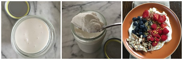 homemade coconut yogurt | pamela salzman