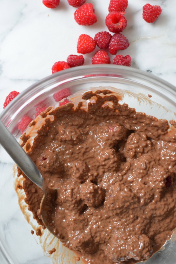 chocolate chia raspberry popsicles | pamela salzman