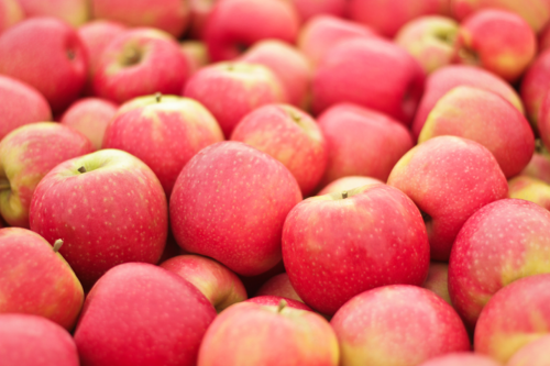 Pink Lady Apples | pamela salzman