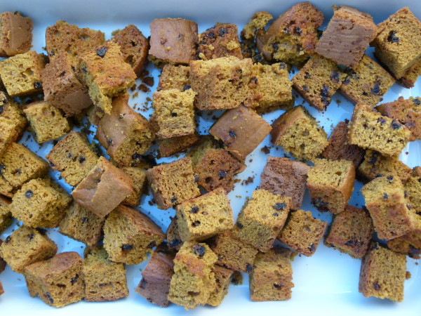 cubed pumpkin bread