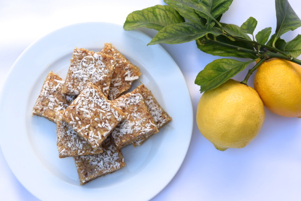 raw lemon bars | pamela salzman