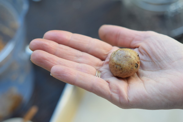 healthy raw chocolate chip "cookie dough" bites | pamela salzman