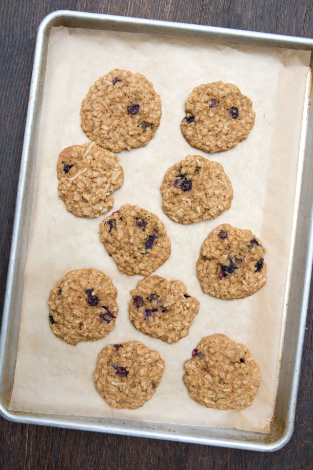 Blueberry Oatmeal Cookies|Pamela Salzman