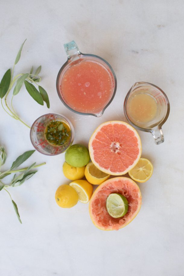 Citrus Sage Tonic | Pamela Salzman