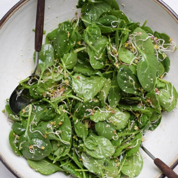 Spring Green Cleaning and a Sesame Spinach Salad Recipe | Pamela Salzman