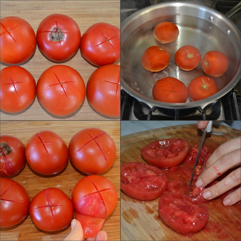 Blender Fresh Tomato Checca Sauce