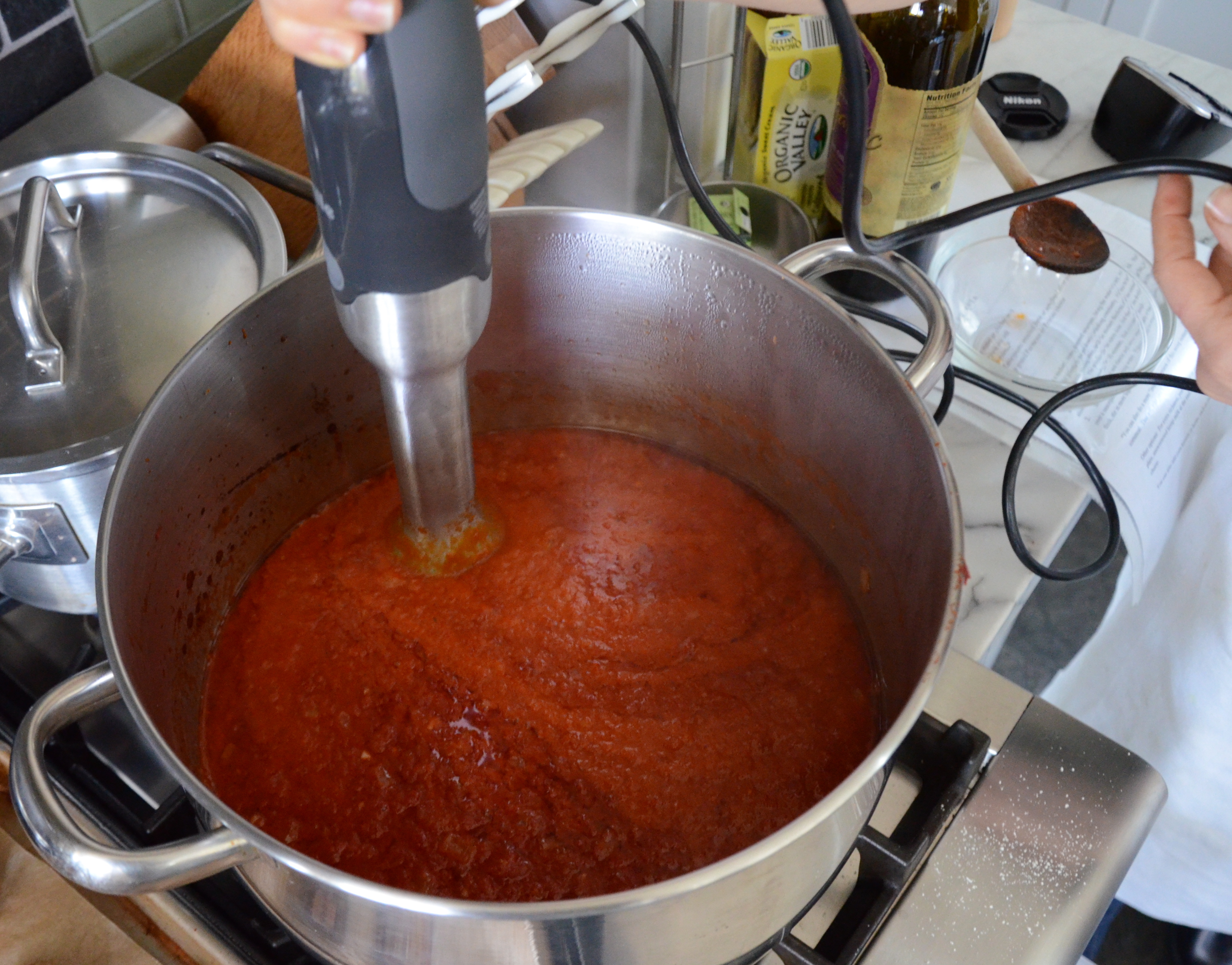 Blender Fresh Tomato Checca Sauce