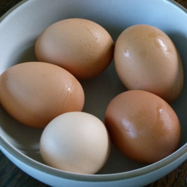 5 eggs resting in a bowl