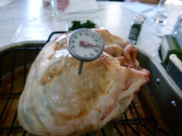 Roasted Whole Bone-In Turkey Breast Recipe | Pamela Salzman & Recipes