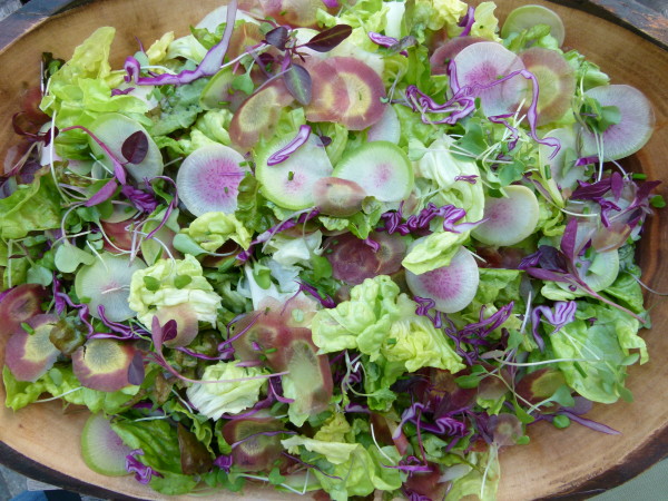 the perfect spring salad | pamela salzman