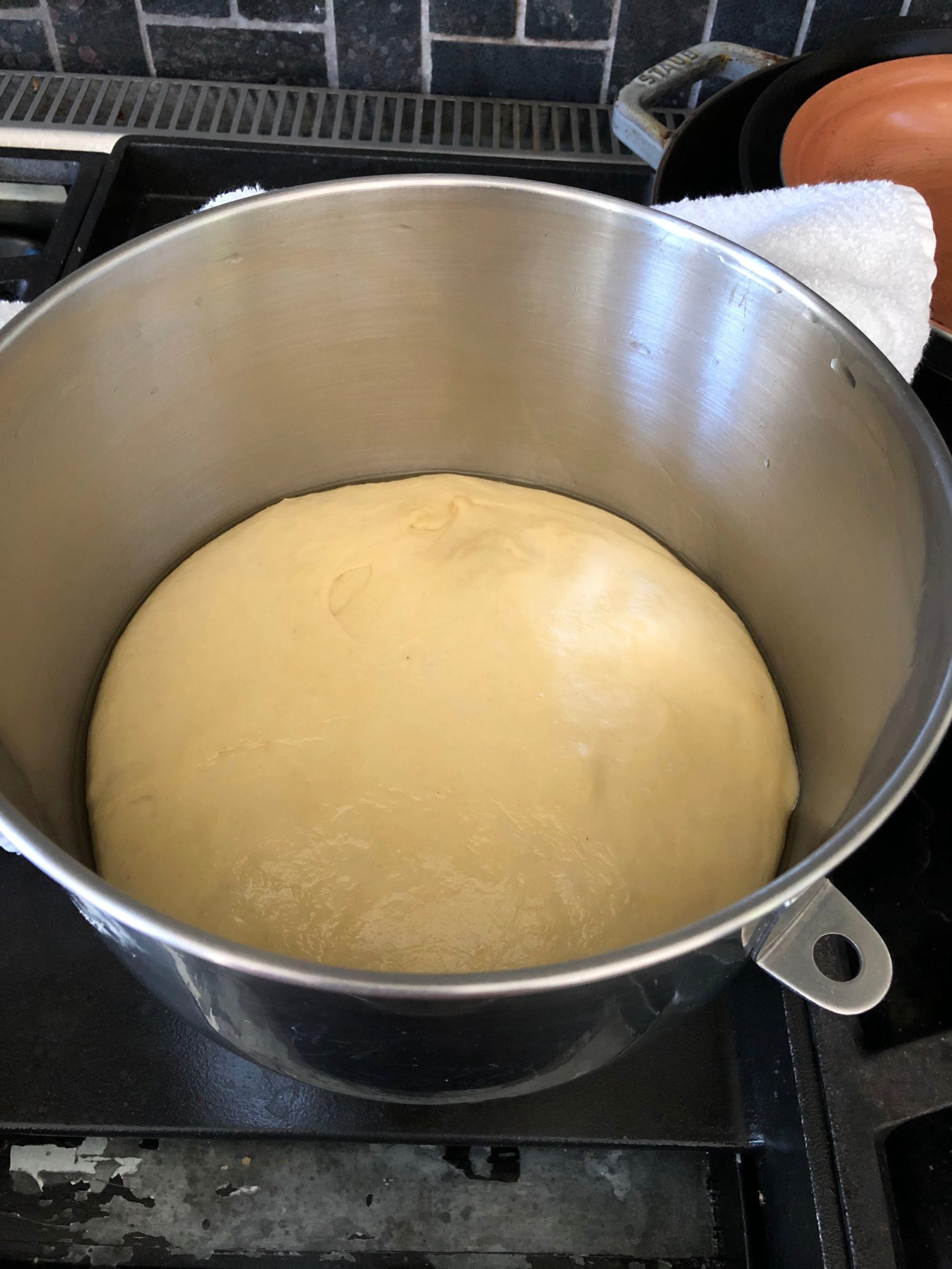 Dough rising in a bowl