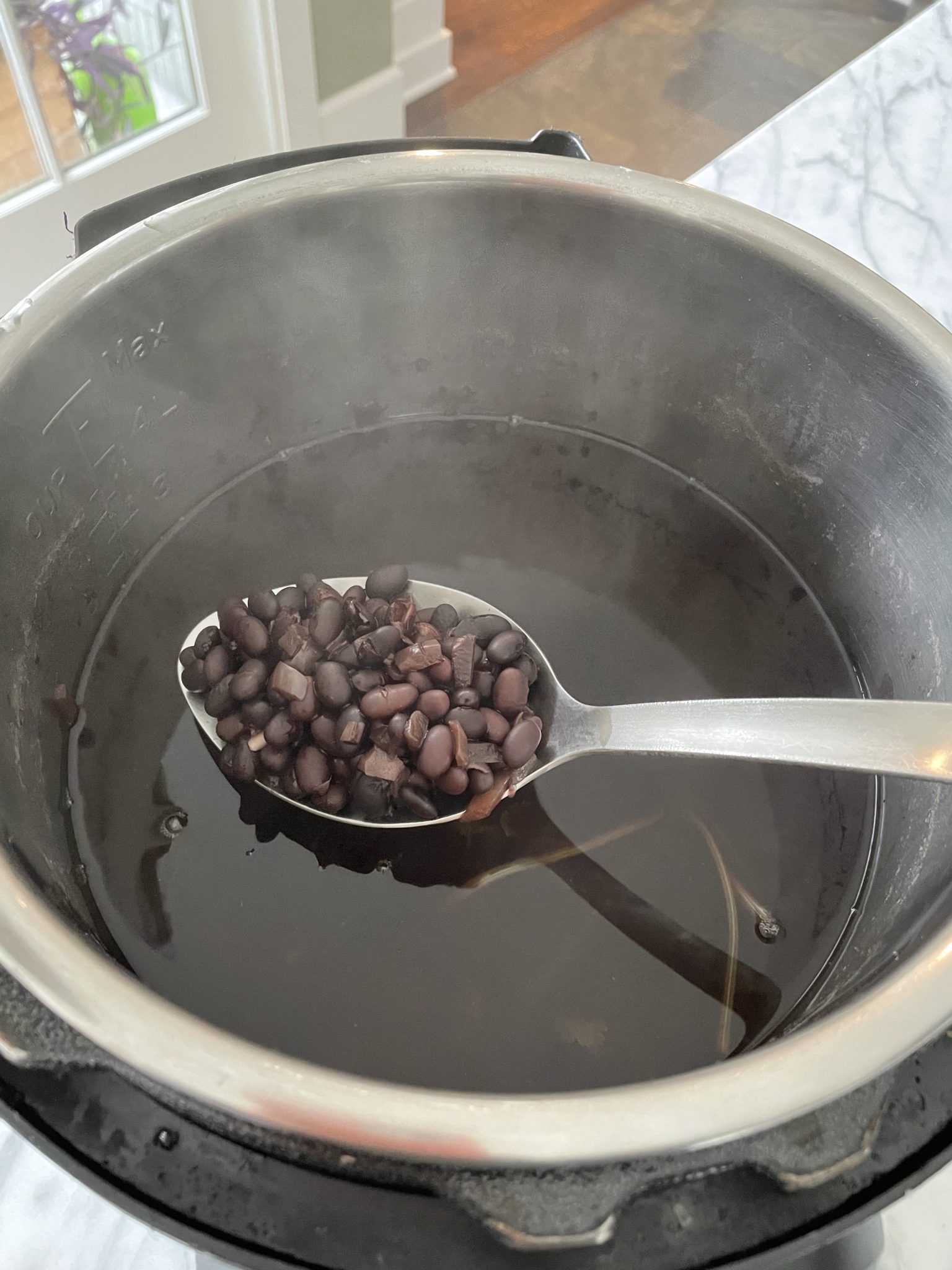 are black or pinto beans healthier