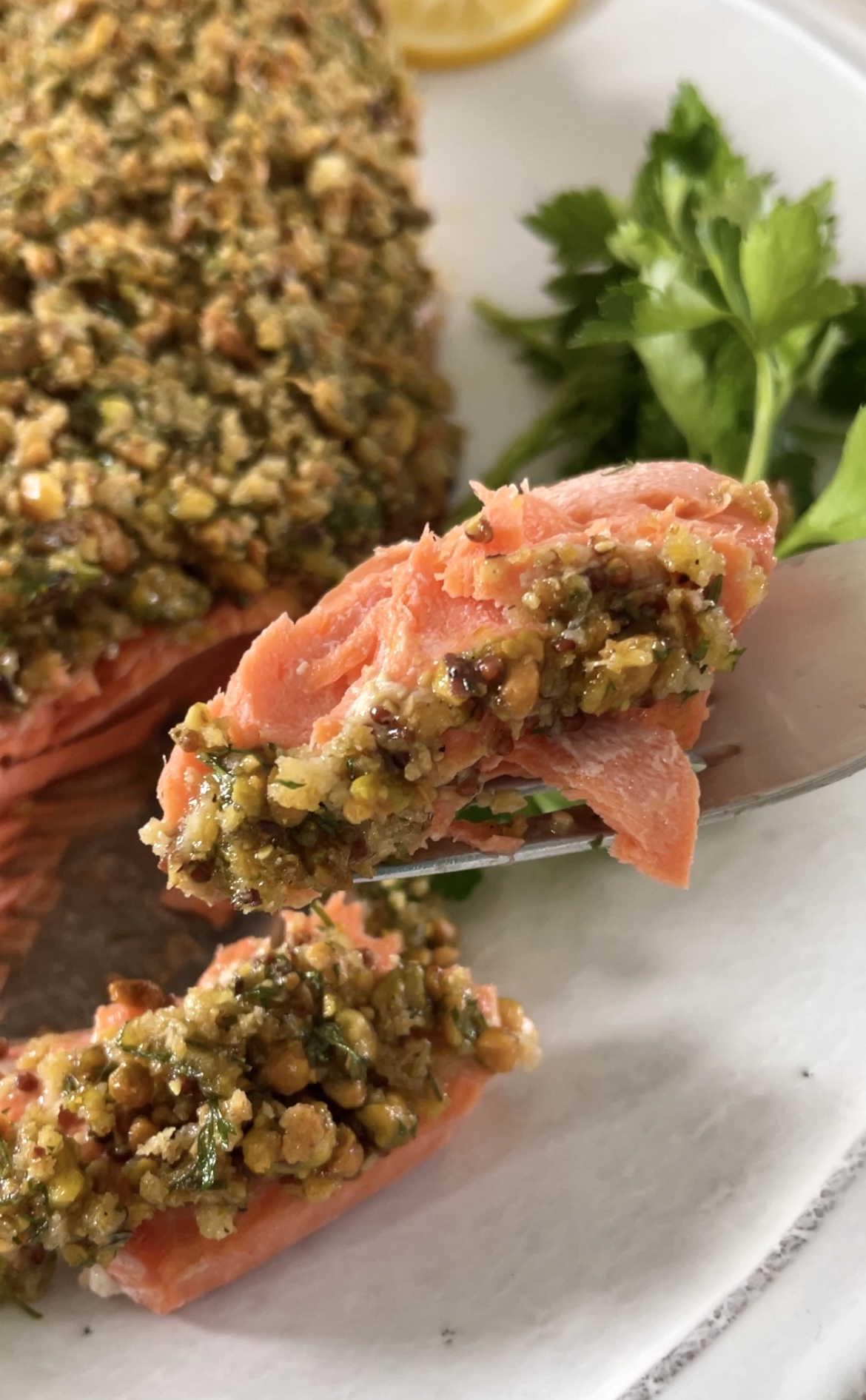 a fork picking up a piece of fish crusted with pistachios