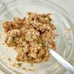 salmon ingredients in a mixing bowl