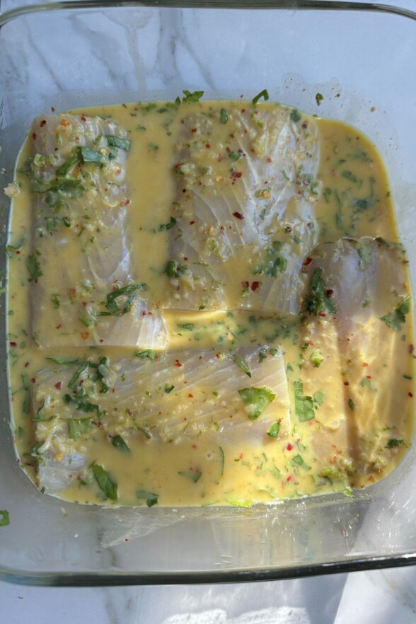 raw fish in a marinade 