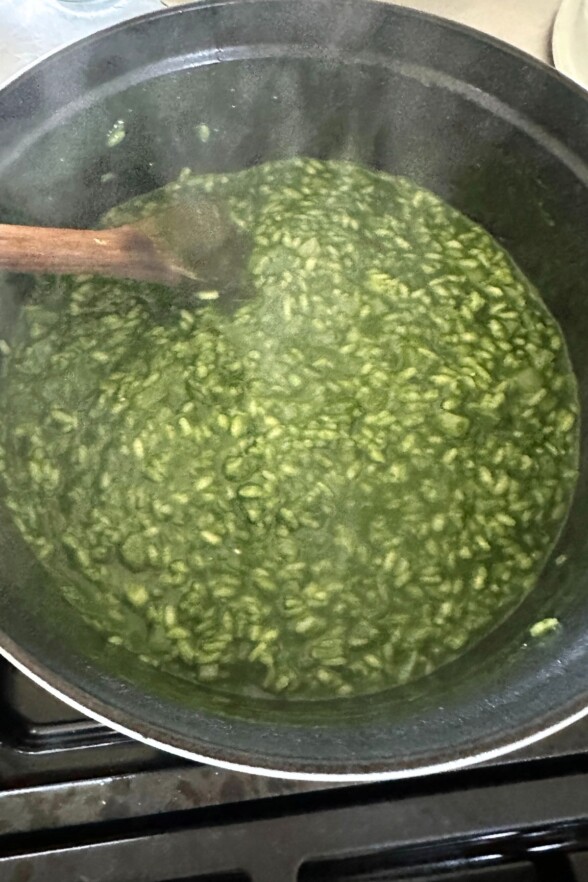 spinach risotto ready to serve