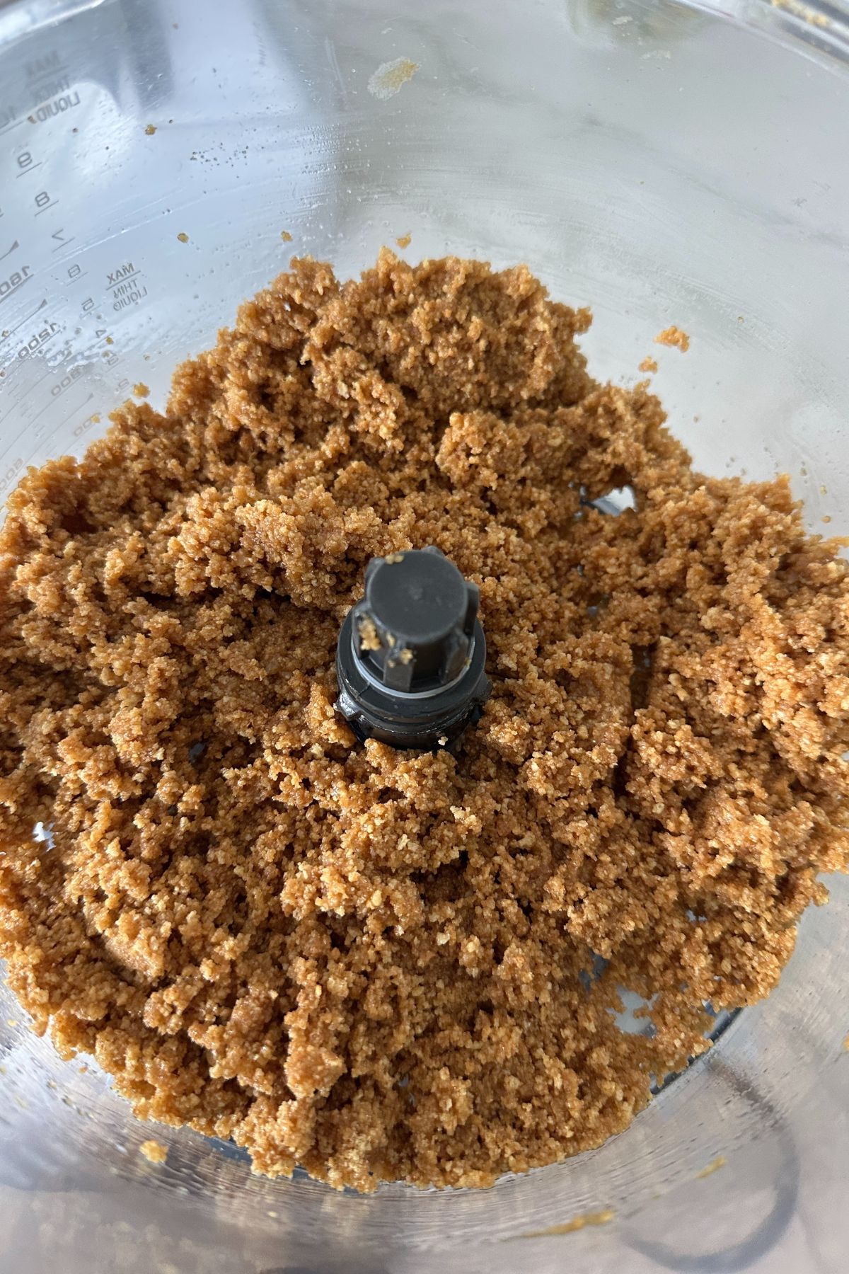 graham cracker crumbs in a food processor