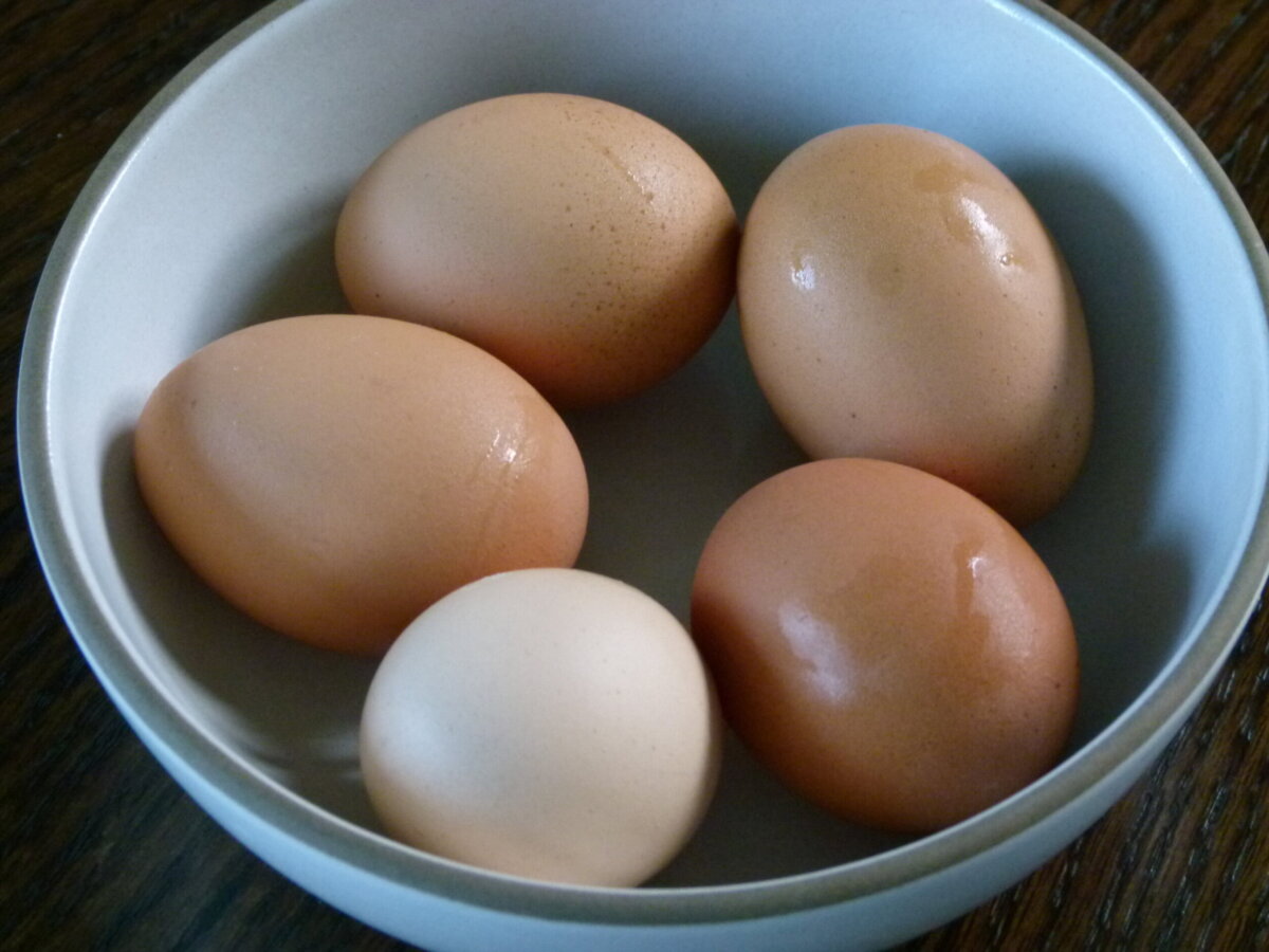 5 eggs resting in a bowl