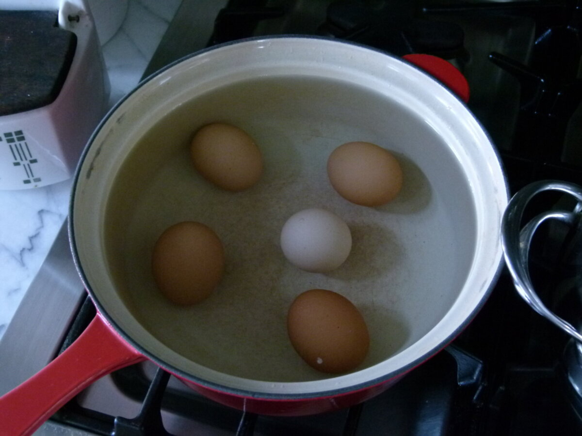 eggs resting in a pot of water